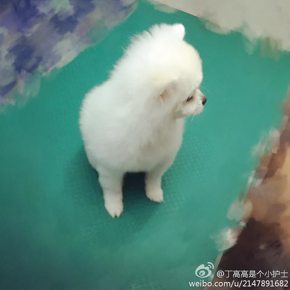 嫩模丁高高是个小护士性感自拍美图微博写真150P