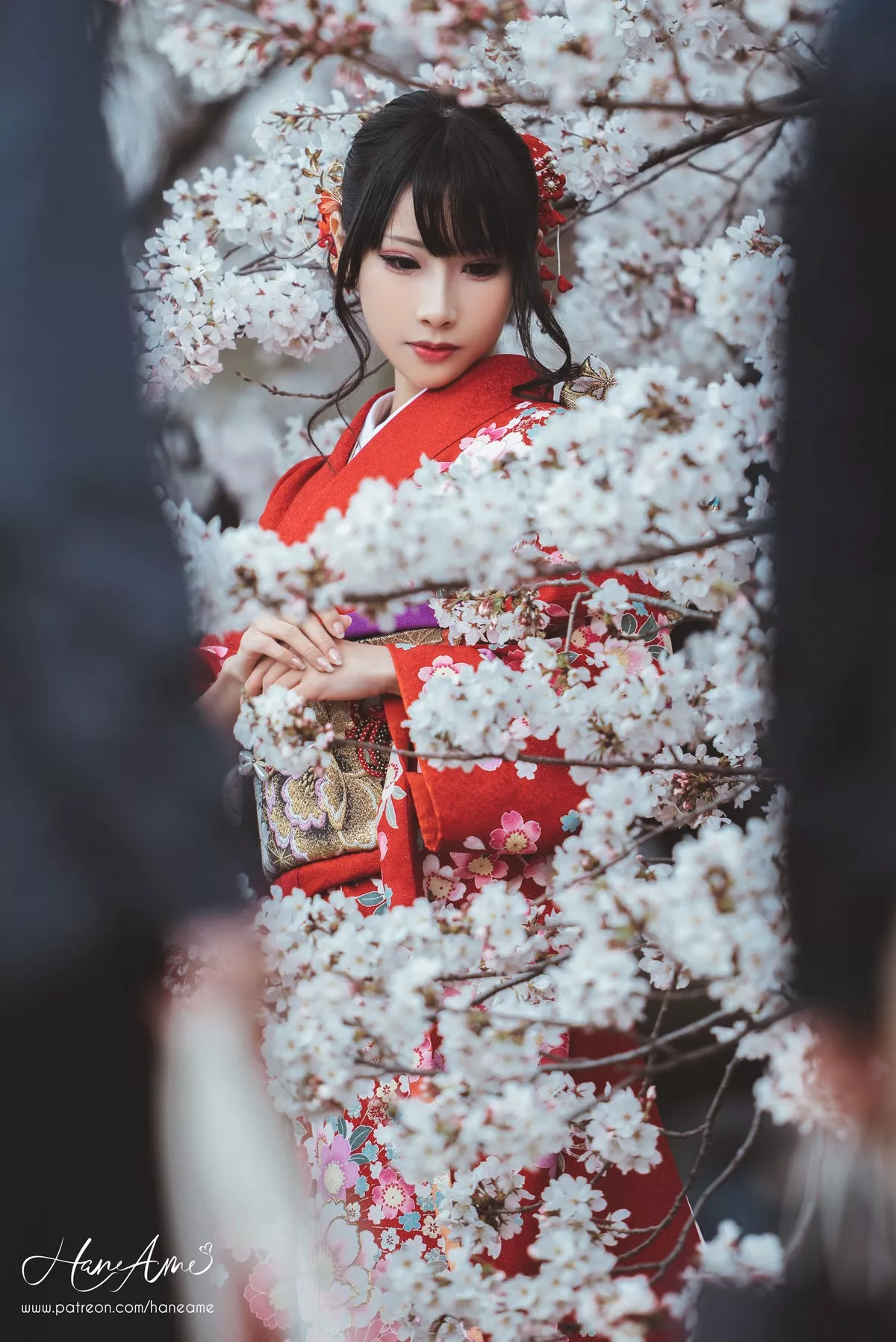 COS福利雨波_HaneAme赤紅和服主题户外樱花树下性感和服迷人写真38P