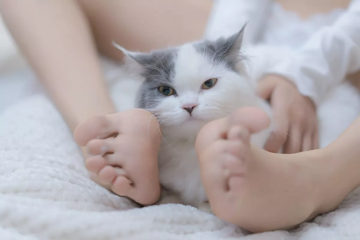 斗鱼主播过期米线线喵我和猫主题半脱露白色蕾丝内衣秀豪乳翘臀诱惑写真90P
