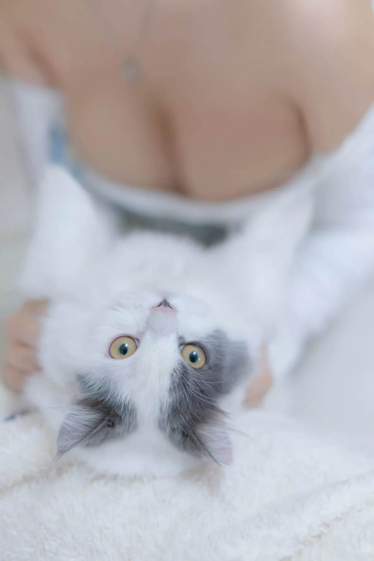 斗鱼主播过期米线线喵我和猫主题半脱露白色蕾丝内衣秀豪乳翘臀诱惑写真90P