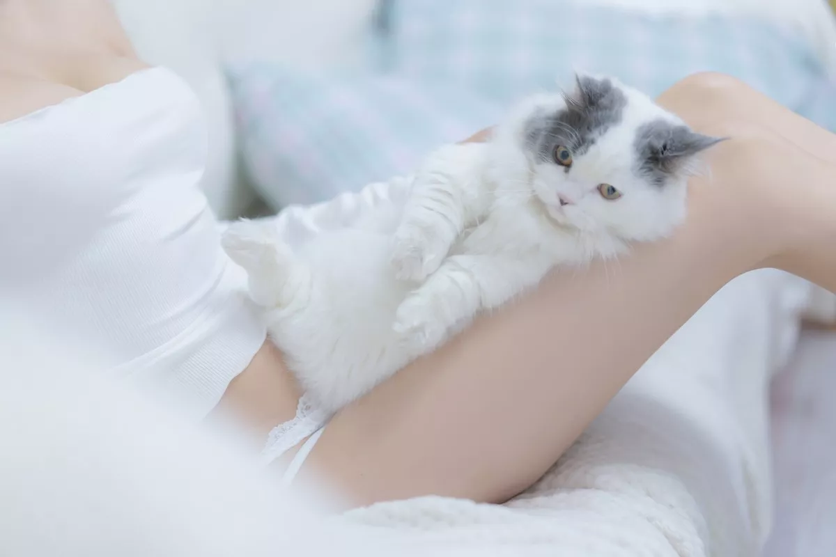 斗鱼主播过期米线线喵我和猫主题半脱露白色蕾丝内衣秀豪乳翘臀诱惑写真90P