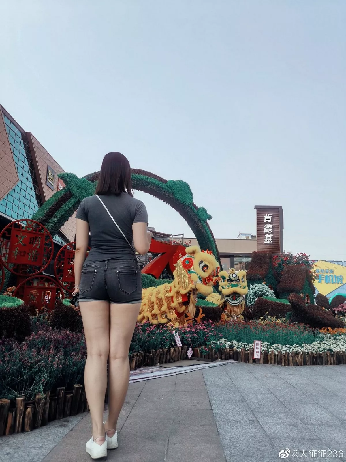 肥臀女神大征征236图片合集主题私房性感黑丝网袜+性感内裤秀浑圆翘臀诱惑写真234P