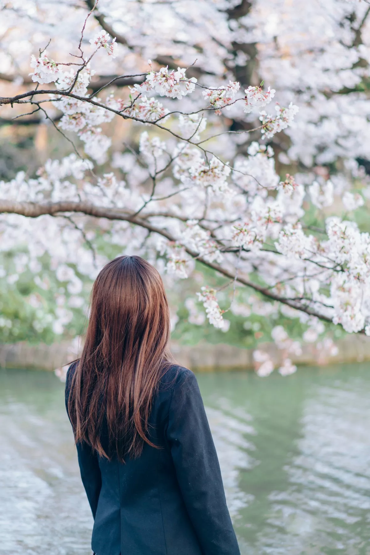 微博妹纸霜月shimo-SPRING主题春天户外桃林加私房性感黑色内衣靓丽迷人写真54P