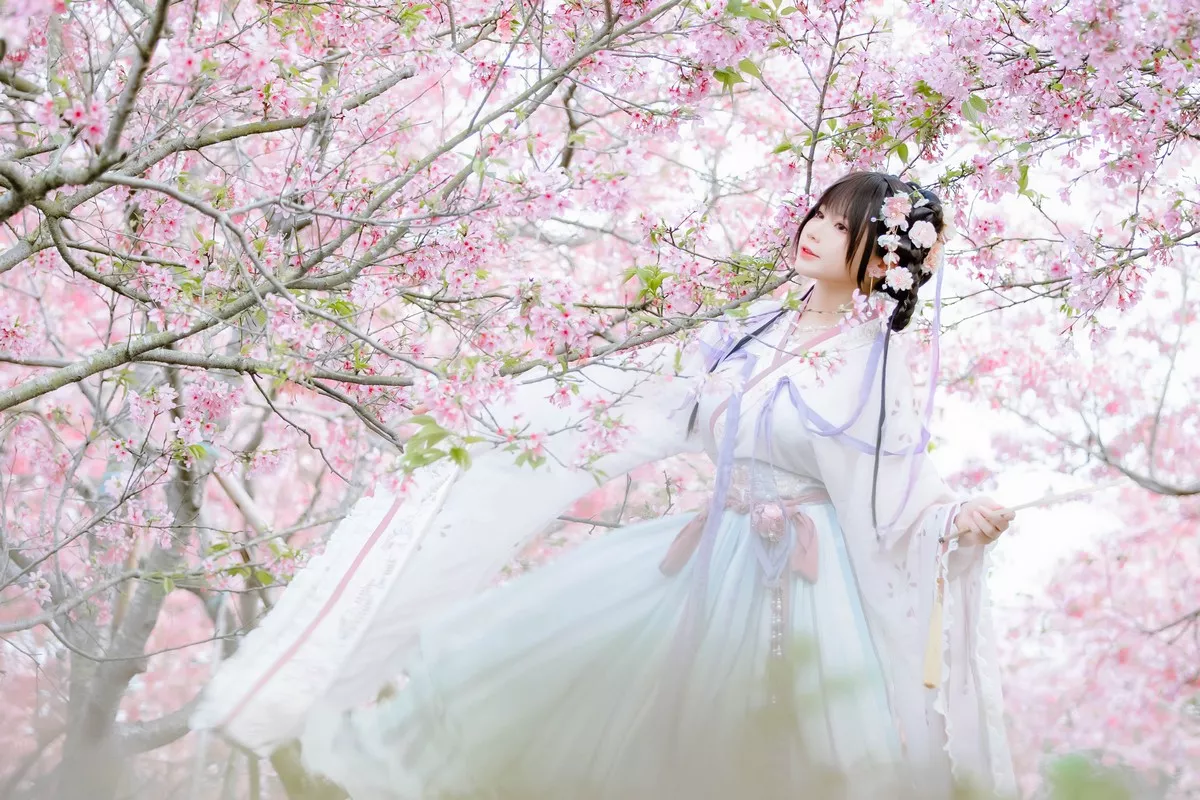 网络美女Nyako喵子花神祈愿主题户外樱花树下性感古典服饰靓丽迷人写真52P