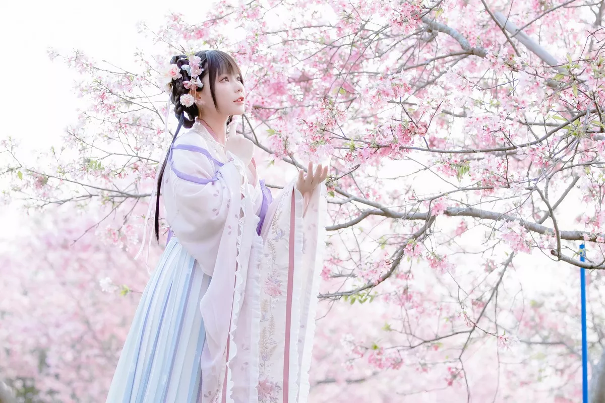 网络美女Nyako喵子花神祈愿主题户外樱花树下性感古典服饰靓丽迷人写真52P