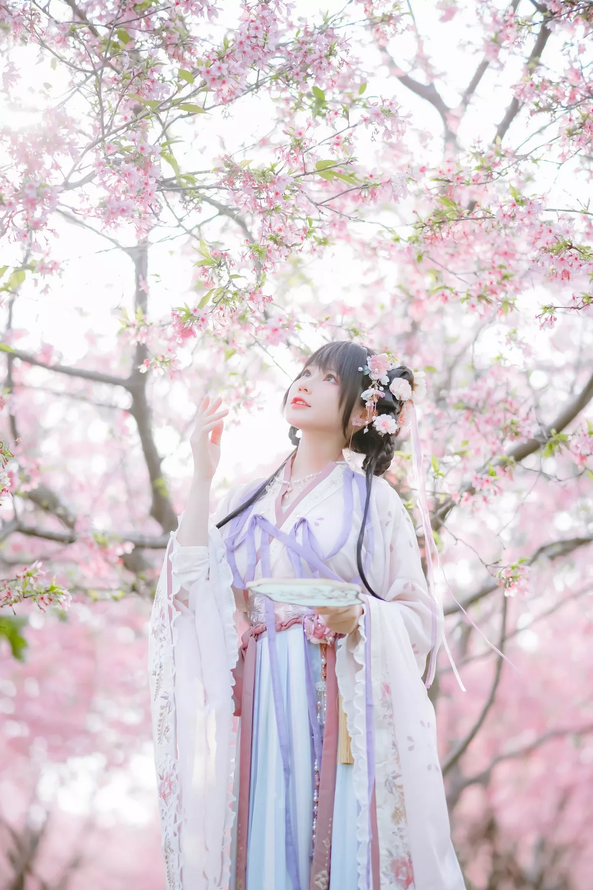 网络美女Nyako喵子花神祈愿主题户外樱花树下性感古典服饰靓丽迷人写真52P