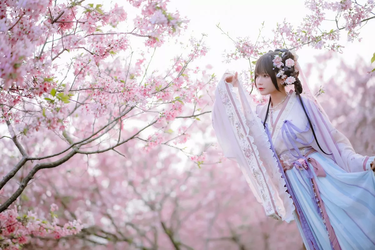 网络美女Nyako喵子花神祈愿主题户外樱花树下性感古典服饰靓丽迷人写真52P