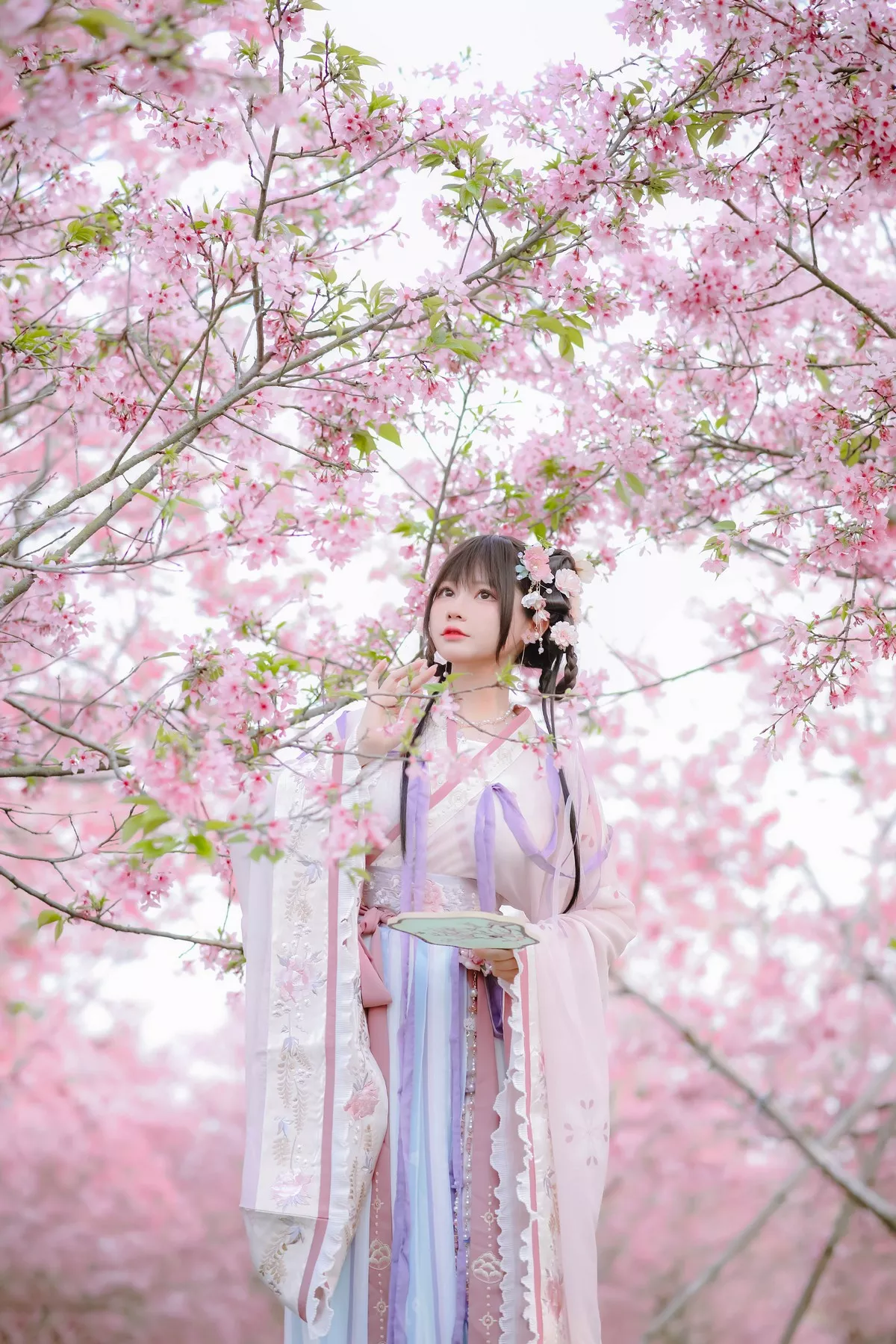 网络美女Nyako喵子花神祈愿主题户外樱花树下性感古典服饰靓丽迷人写真52P