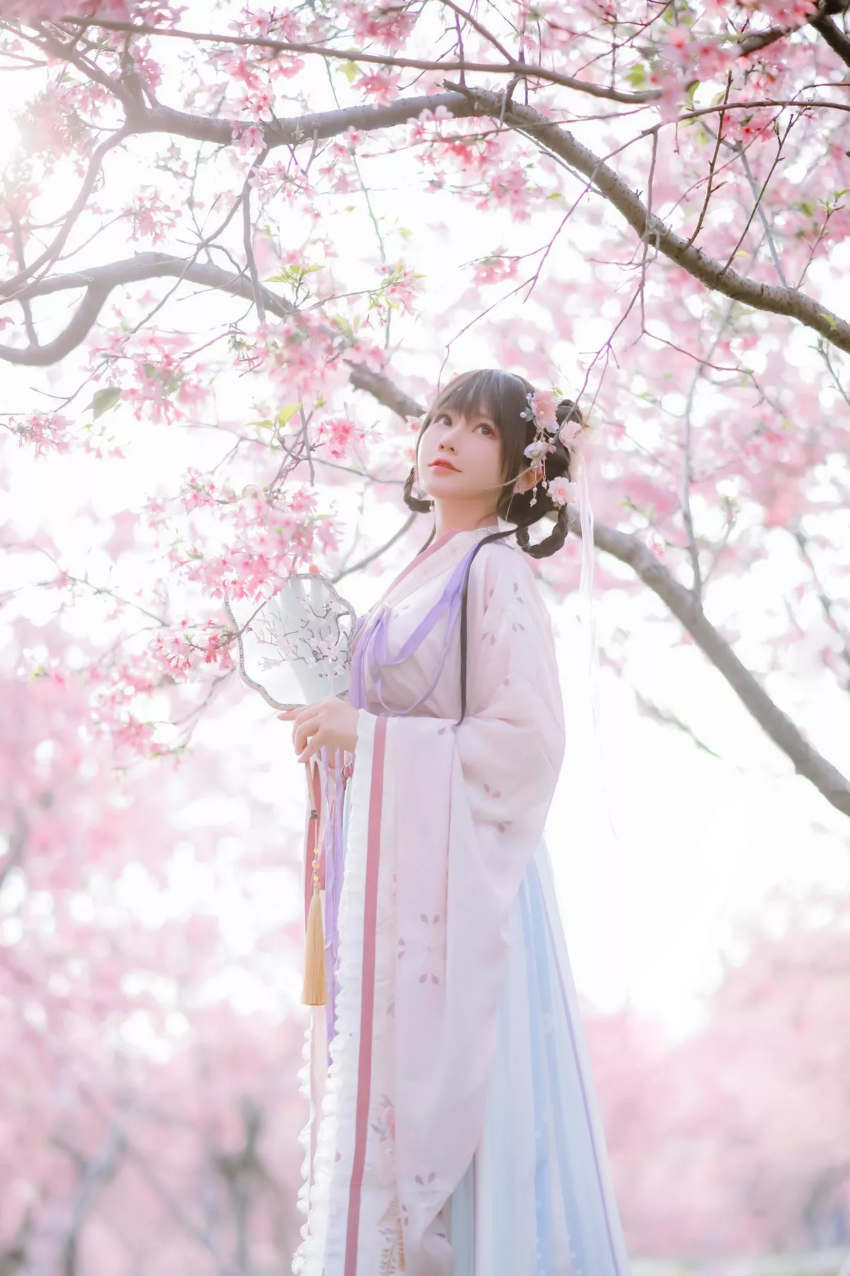 网络美女Nyako喵子花神祈愿主题户外樱花树下性感古典服饰靓丽迷人写真52P