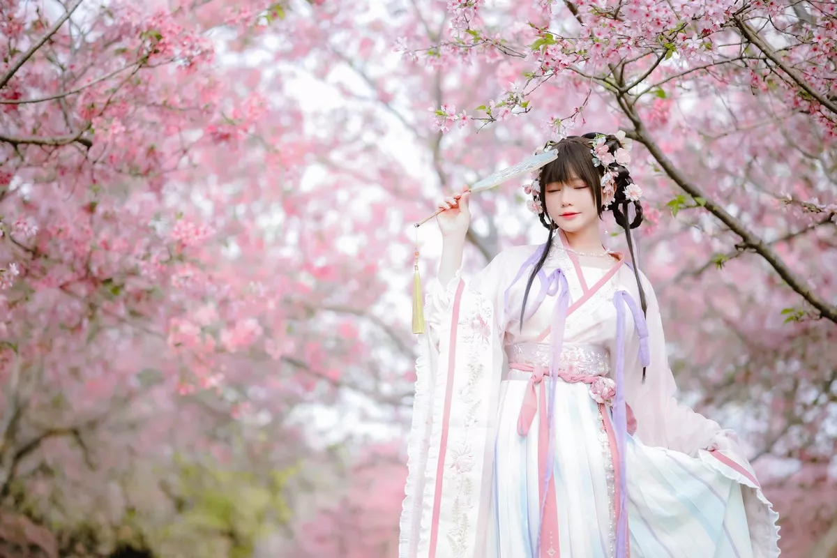 网络美女Nyako喵子花神祈愿主题户外樱花树下性感古典服饰靓丽迷人写真52P