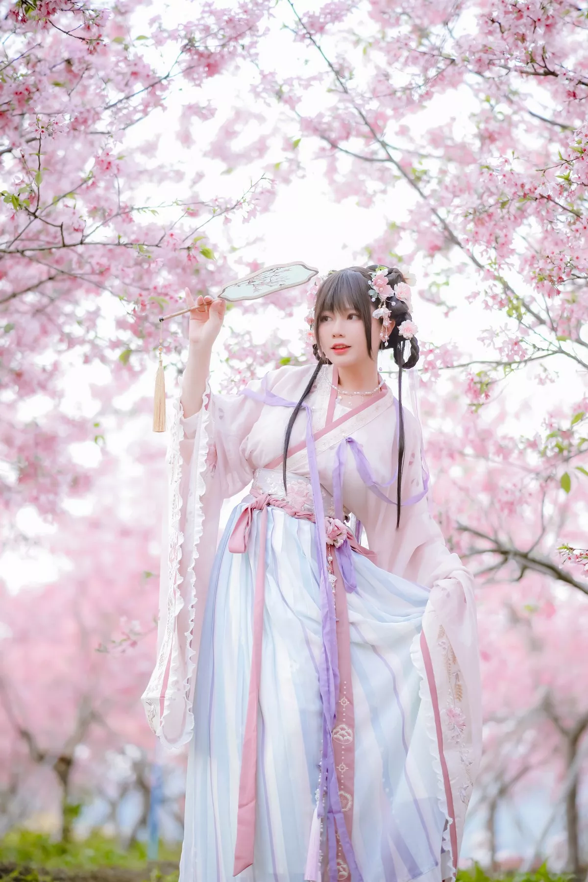 网络美女Nyako喵子花神祈愿主题户外樱花树下性感古典服饰靓丽迷人写真52P
