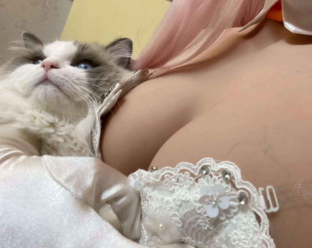 网络美女起司块ii自拍1主题性感白色低胸婚纱+红色连衣裙秀完美身材诱惑写真40P