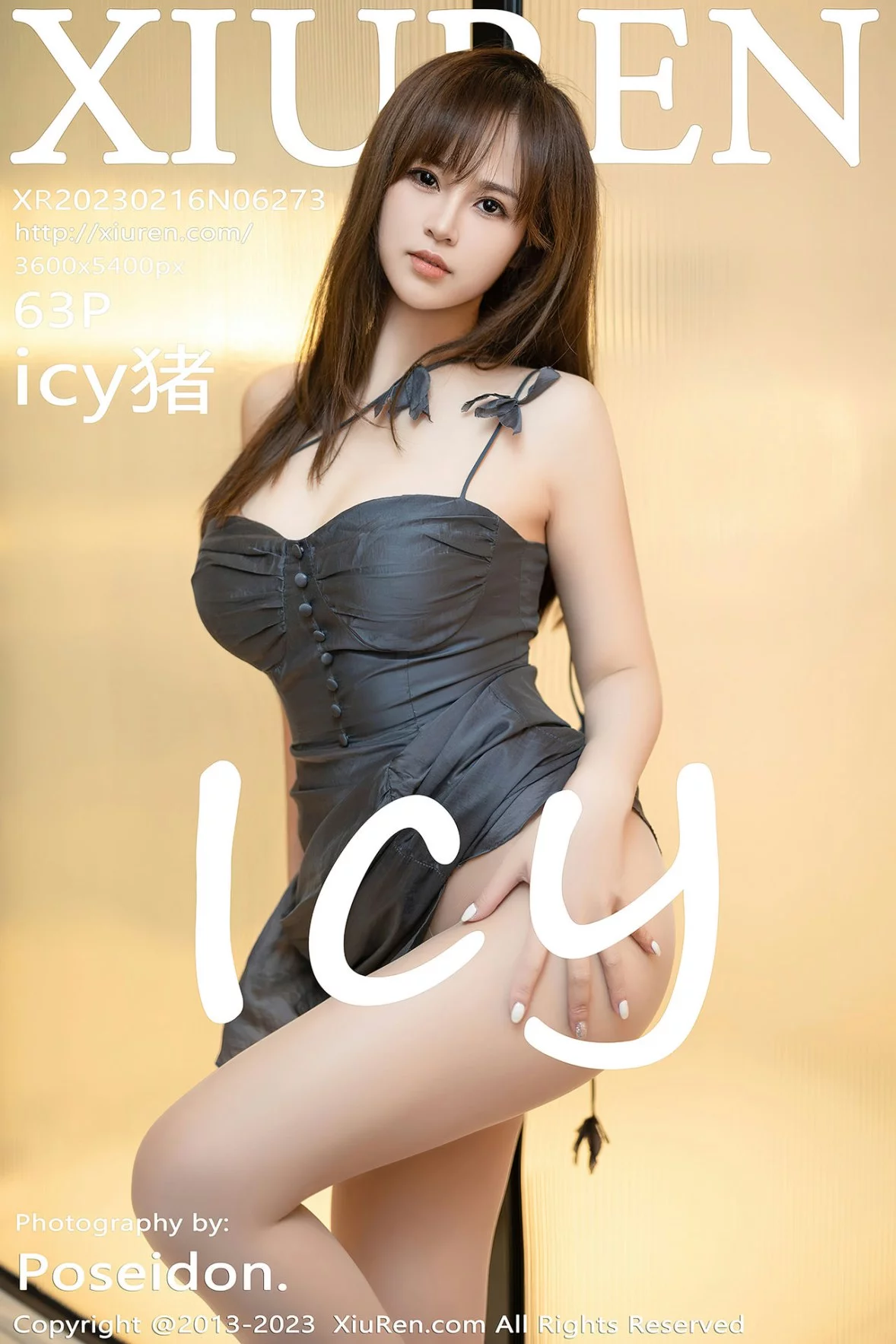 XiuRen第6273期_模特icy猪性感灰色吊带长裙配原色丝袜秀魔鬼身材迷人诱惑写真63P