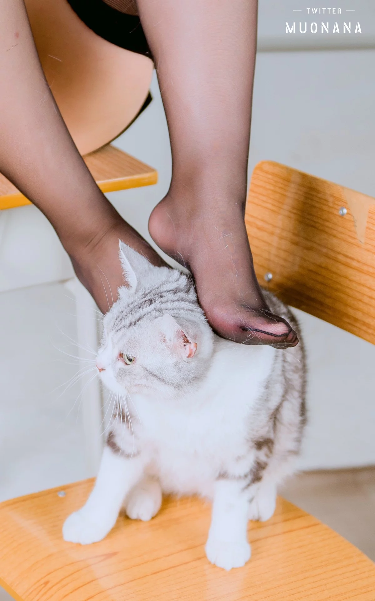动漫博主穆零Mu0老师学生主题教室里性感学生制服配白丝袜秀丰满身材诱惑写真115P