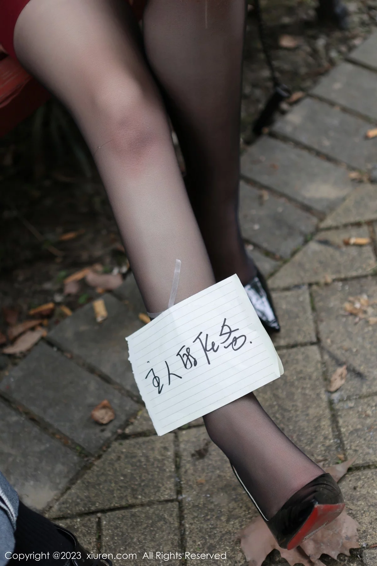 XiuRen第6950期_模特王婉悠Queen户外脱黑色外衣露情趣服秀豪乳遮点诱惑写真83P
