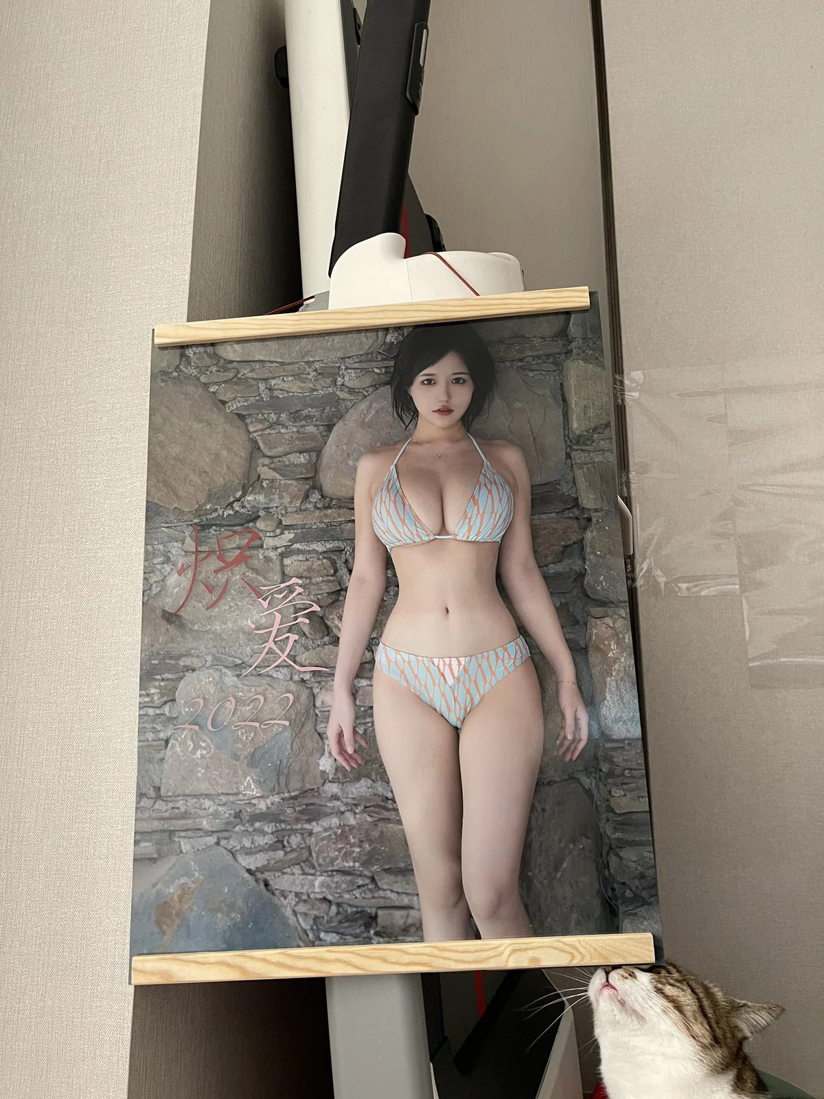 动漫博主小仓千代w-Twitter合集精选主题性感多套服饰+自拍系列迷人诱惑写真350P