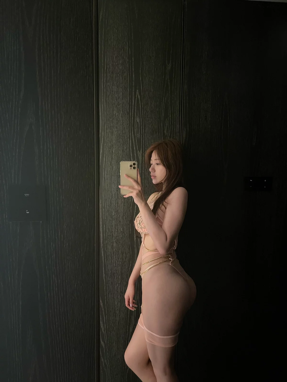 网红小姐姐奶宝妹纸微密圈嘉宾主题私房性感内衣服饰系列秀丰满身材诱惑写真300P